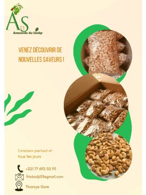 Mamadou Lamine Sadibou Badji, Anacarde Du Senegal